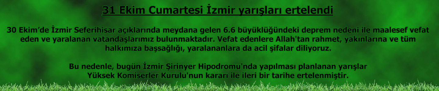 izmirdepremi.gif