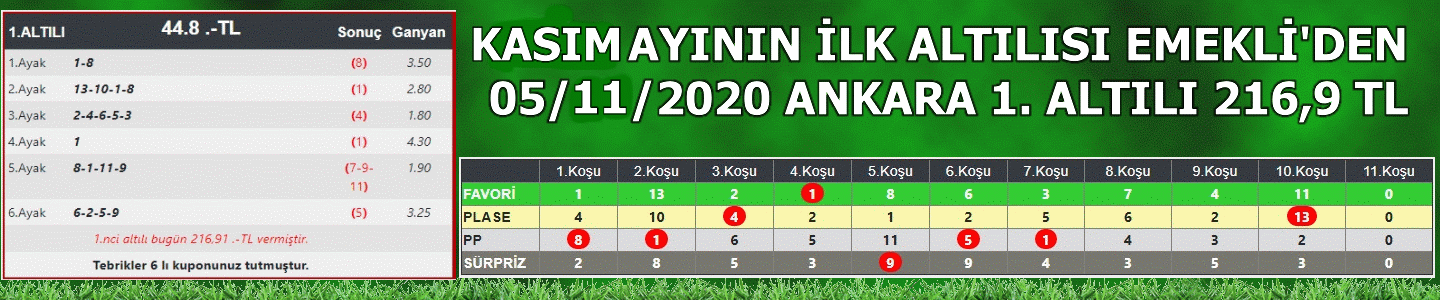 emekli05112020ank.gif