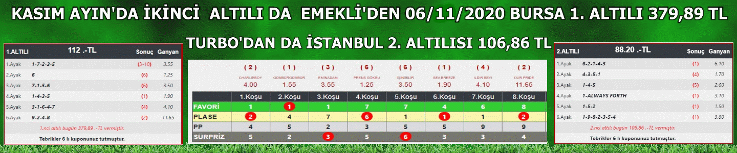 emekli06112020brs.gif