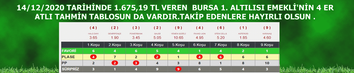 emekli15122020.gif