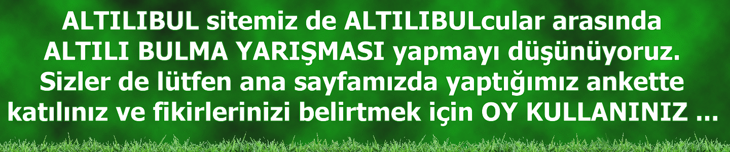 anket.gif