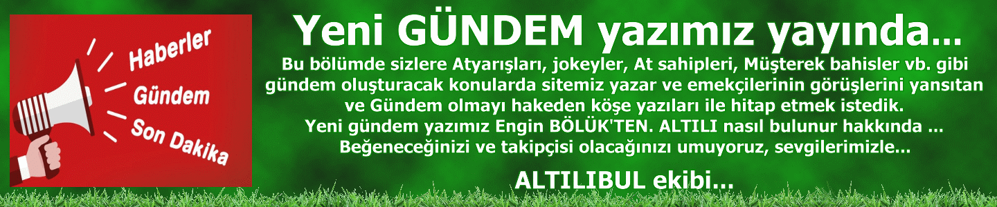 enginboluk.gif