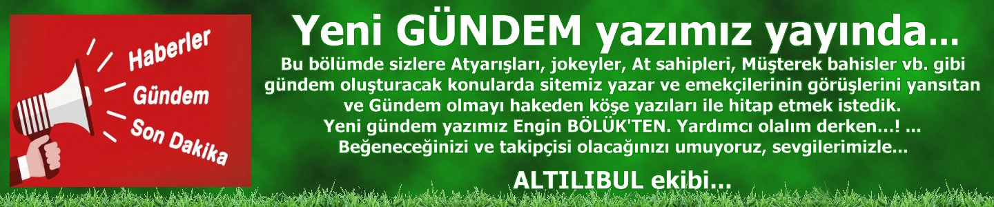 enginbolukgundem.gif