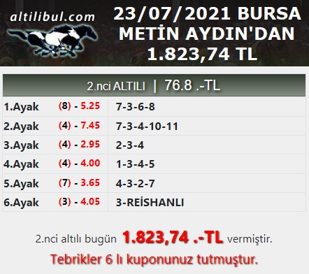 metin.jpg