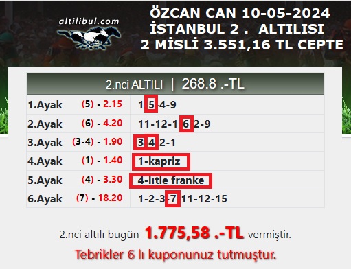 ALTILIBUL.COM ALTILIBUL.COM