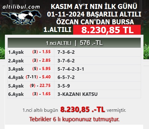 www.altilibul.com